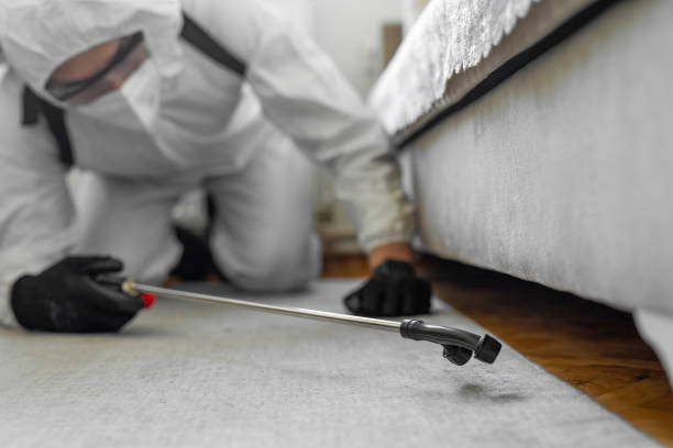 Professional Bed Bug Control technician working in McKee City, NJ
