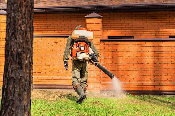 Trusted Bed Bug Control service in McKee City, NJ - Nex Pest Control